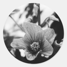 Adesivo Redondo Fotografia Floral a Preto e Branco