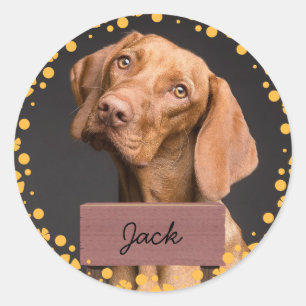 Adesivo Redondo fotografia personalizada de cão de Natal de flor