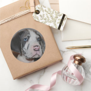Adesivo Redondo Fotos Personalizadas de Cachorro com Olhos Azuis e