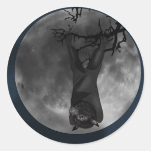 Adesivo Redondo Fox Bat Voadora