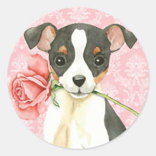 Adesivo Redondo Fox cor-de-rosa Terrier do brinquedo dos namorados