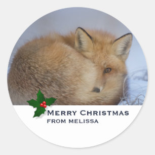 Adesivo Redondo Fox Raposa Bonita Enrolada Foto de inverno Natal