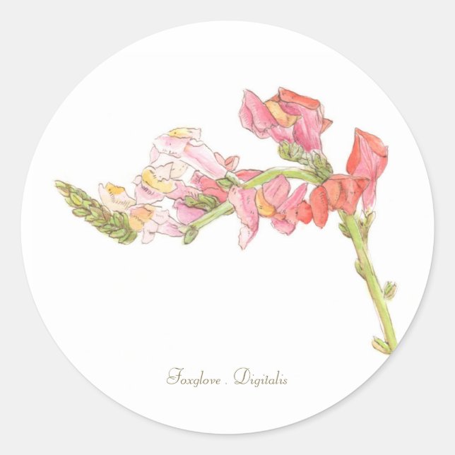 Adesivo Redondo Foxglove Sticker (Frente)