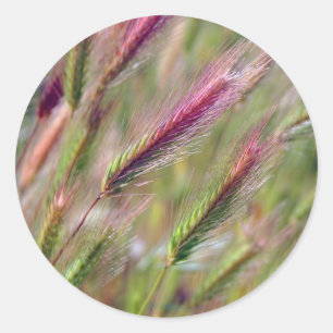 Adesivo Redondo Foxtails graciosos