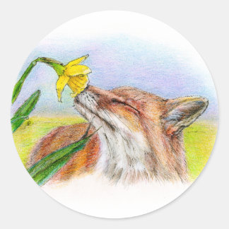 Adesivo Redondo Foxy