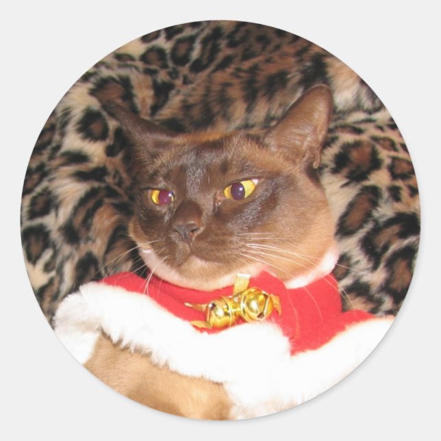 Adesivo Redondo FPG Xmas Burmese 2 - (Frente)