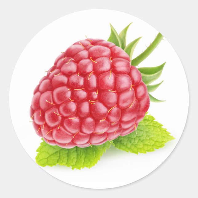 Adesivo Redondo Framboesa e hortelã (Frente)