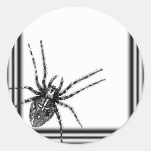 Adesivo Redondo Frame Tarantula Halloween