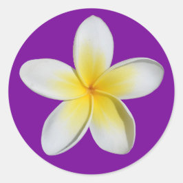 Adesivo Redondo Frangipani