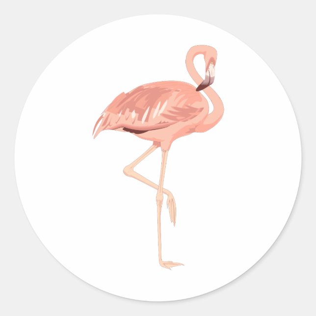 Adesivo Redondo Freddy Flamingo (Frente)