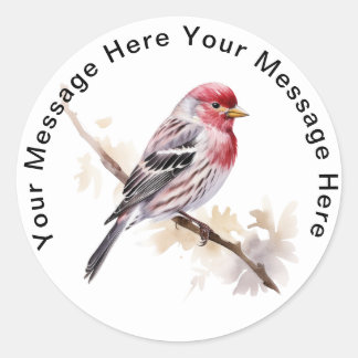 Adesivo Redondo Frequentes