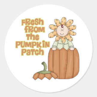 Adesivo Redondo Fresco Do Anúncio Do Bebê Do Pumpkin Patch