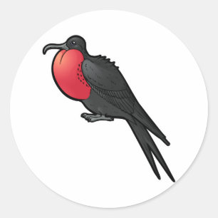 Adesivo Redondo Frigatebird magnífico