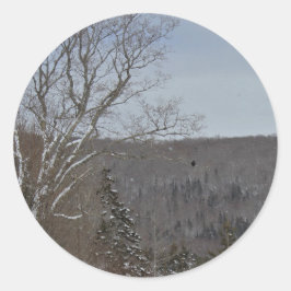 Adesivo Redondo Frio e solitário