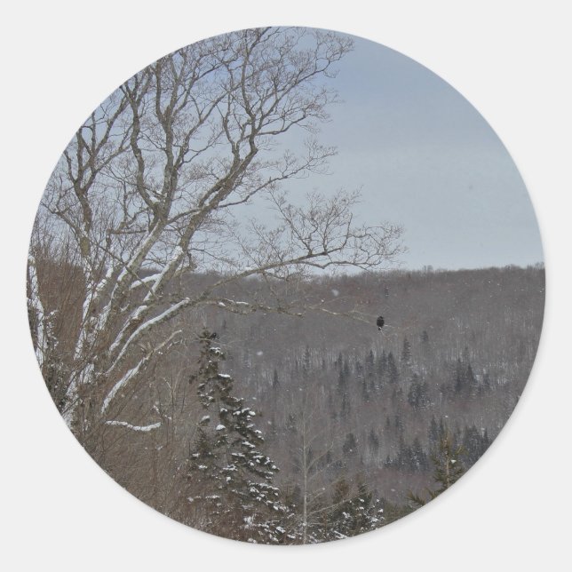 Adesivo Redondo Frio e solitário (Frente)