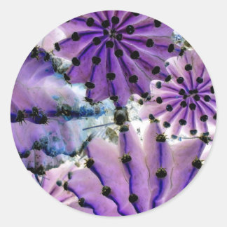 Adesivo Redondo From Space