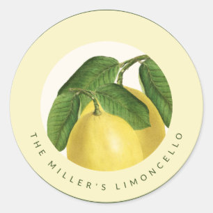 Adesivo Redondo Fruta Cítrica   Limões   Limoncello Caseiro