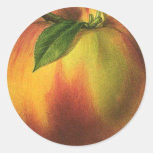 Adesivo Redondo Fruta de Comida, Pêssego Orgânico Elevado com Fo