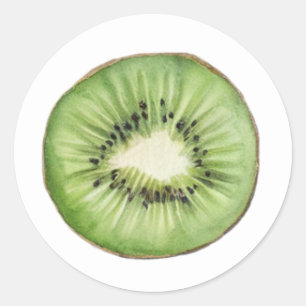 Adesivo Redondo Fruta de Kiwi em Aquarela de Verão Fashion
