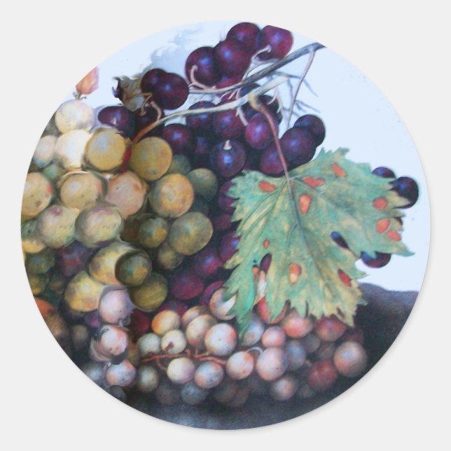 ADESIVO REDONDO FRUTAS DA SEASON 1 (Frente)