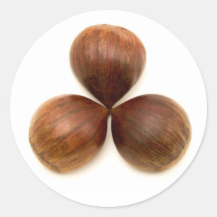 Adesivo Redondo Frutas de castanha doce