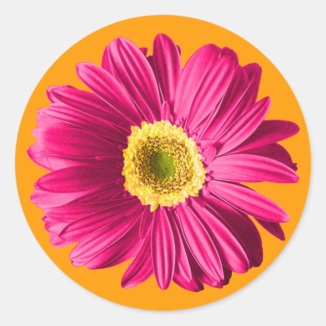 Adesivo Redondo Fuchsia Daisy Flower (Frente)
