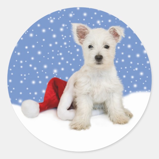 Adesivo Redondo Fundo Azul Deixe-o nevar (Frente)