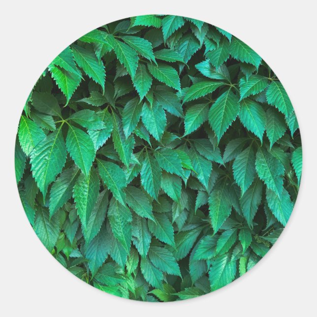 Adesivo Redondo fundo de sebe verde (Frente)