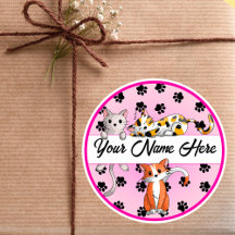 Fundo Rosa Divertido com Roupa Clássica de Gatinho