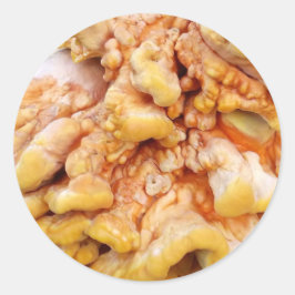 Adesivo Redondo Fungo Laranja