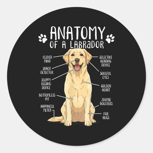 Adesivo Redondo Funny Anatomy Labrador Retriever Yellow Lab Dog Ow (Frente)