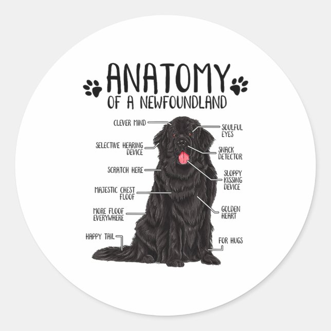 Adesivo Redondo Funny Anatomy Newfoundland Dog Cute Newfie Lover  (Frente)