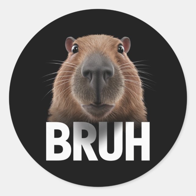 Adesivo Redondo Funny Capybara Bruh (Frente)