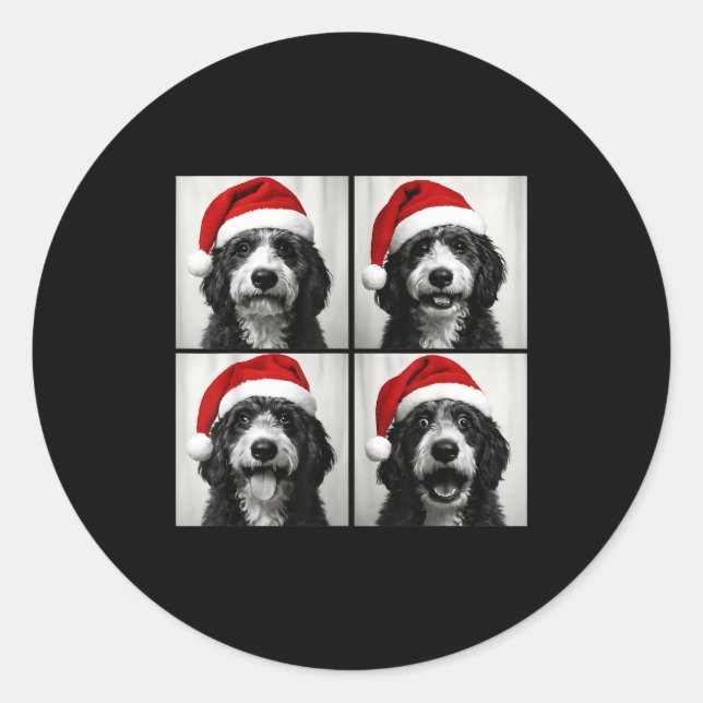 Adesivo Redondo Funny Christmas Bernedoodle Santa Doodle Dog Photo (Frente)