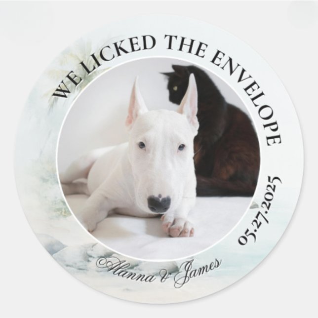 Adesivo Redondo Funny Dog “I Licked the Envelope” Tropical Beach (Round wedding sticker with dog and cat photo, “We Licked the Envelope,” and names Alanna and James.)