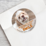 Adesivo Redondo Funny Dog Real Estate Pop Por<br><div class="desc">Personalize facilmente o texto na frente e atrás desses bonitinhos adesivos de pop. Adicione um saco de guloseimas ou um brinquedo de cão para um presente divertido para donos de cães.</div>