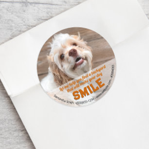 Adesivo Redondo Funny Dog Real Estate Pop Por