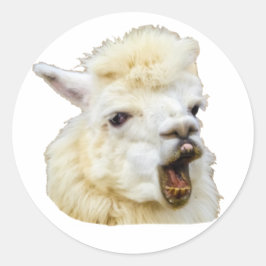 Adesivo Redondo Funny face lachendes Alpaka Crazy Lama Zähne