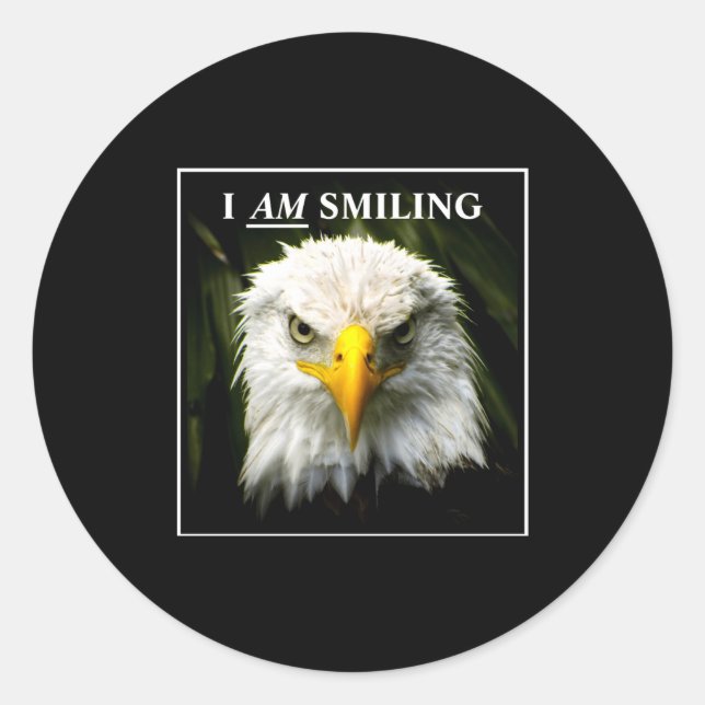 Adesivo Redondo Funny I Am Smiling Mpy Eagle Photo  (Frente)