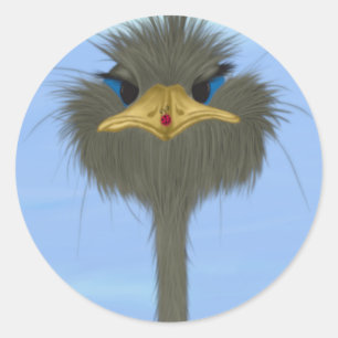 Adesivo Redondo Funny Ostrich George E O Bonitinho Ladybug