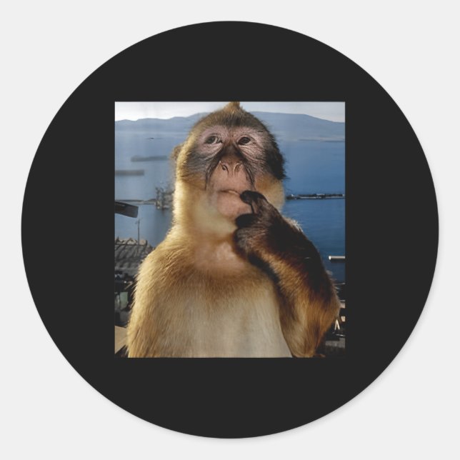 Adesivo Redondo Funny Thinking Monkey Meme Curious Ape Brainrot Gi (Frente)