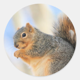 Adesivo Redondo Furball de hoje