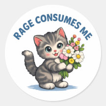 Fúria de Gato Engraçado Me Consome