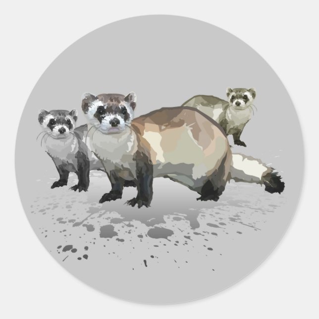 Adesivo Redondo Furões (Frente)