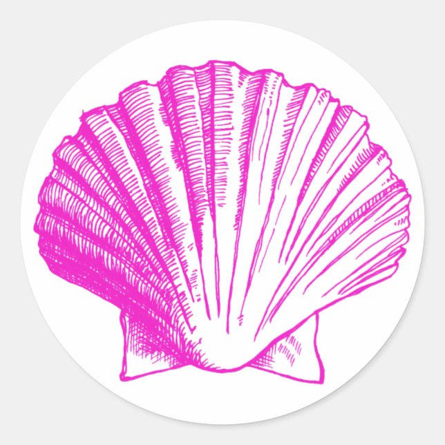 Adesivo Redondo Fuscia Sea Shell Sticker (Frente)