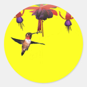 Adesivo Redondo Fushia e colibri