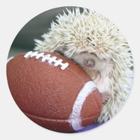 Futebol Hedgehog