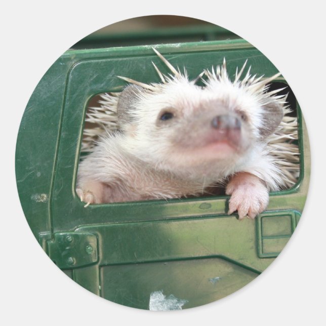 Adesivo Redondo G.I. Hedgehog (Frente)