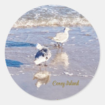 Gaivotas de Coney Island