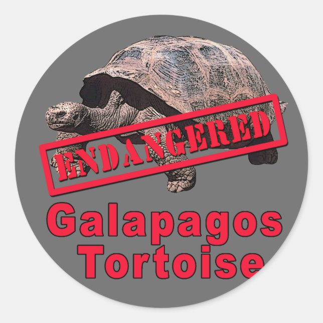 Adesivo Redondo Galápagos Tortoise Camisetas de Arte Ameaçadas (Frente)
